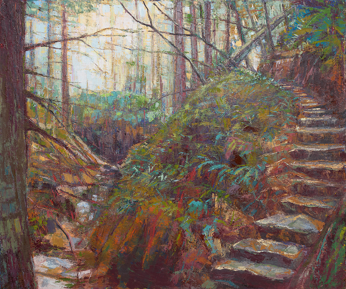 Leslie Andelin Forest Steep Ravine 2