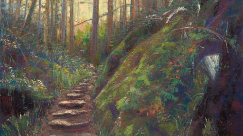 Leslie Andelin Forest Steep Ravine 1