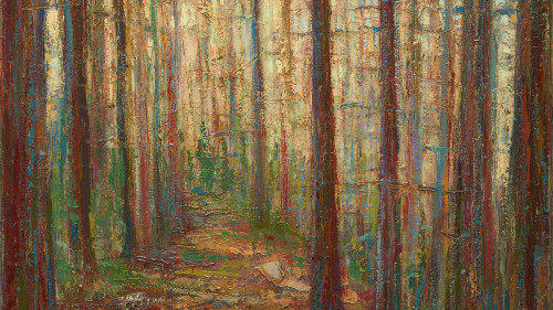 Leslie Andelin Forests walking