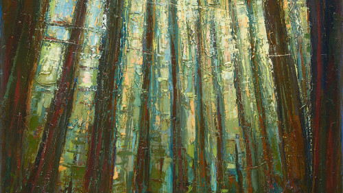 Leslie Andelin Forest redwoods 8