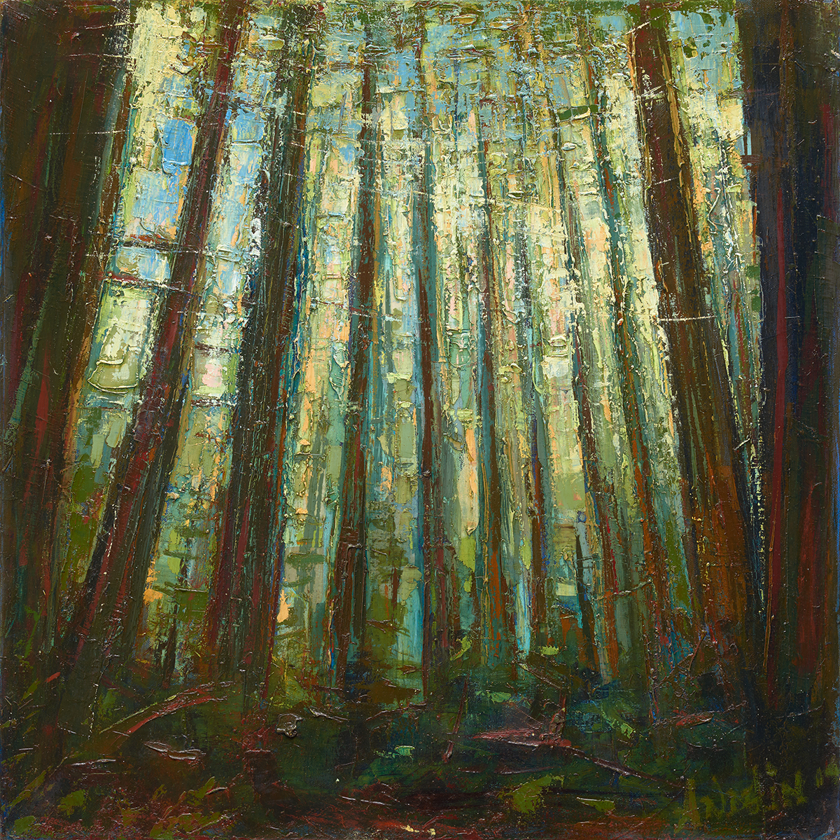 Leslie Andelin Forest redwoods 8