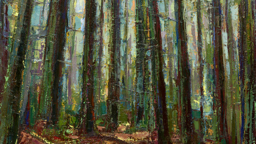 Leslie Andelin Forest redwoods 7