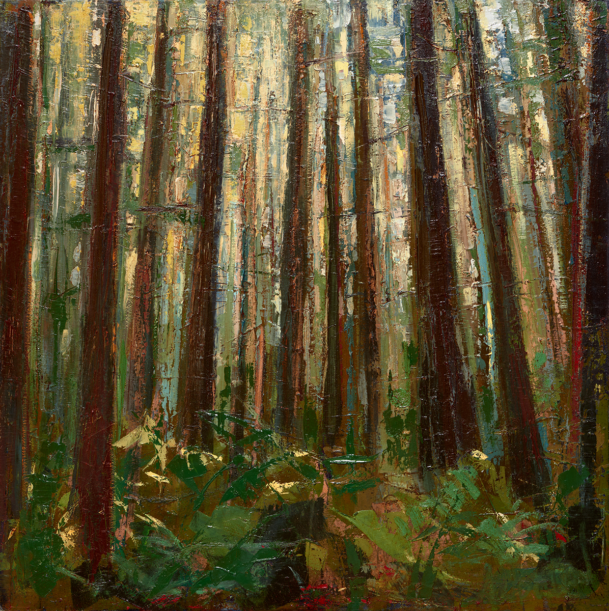 Leslie Andelin Forest redwoods 6