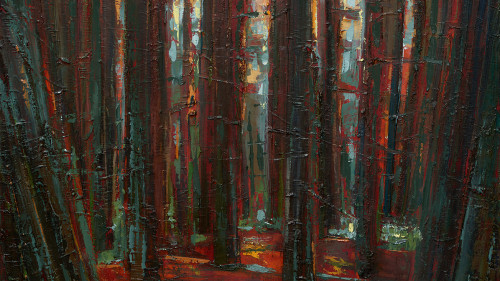 Leslie Andelin Forest redwoods 3