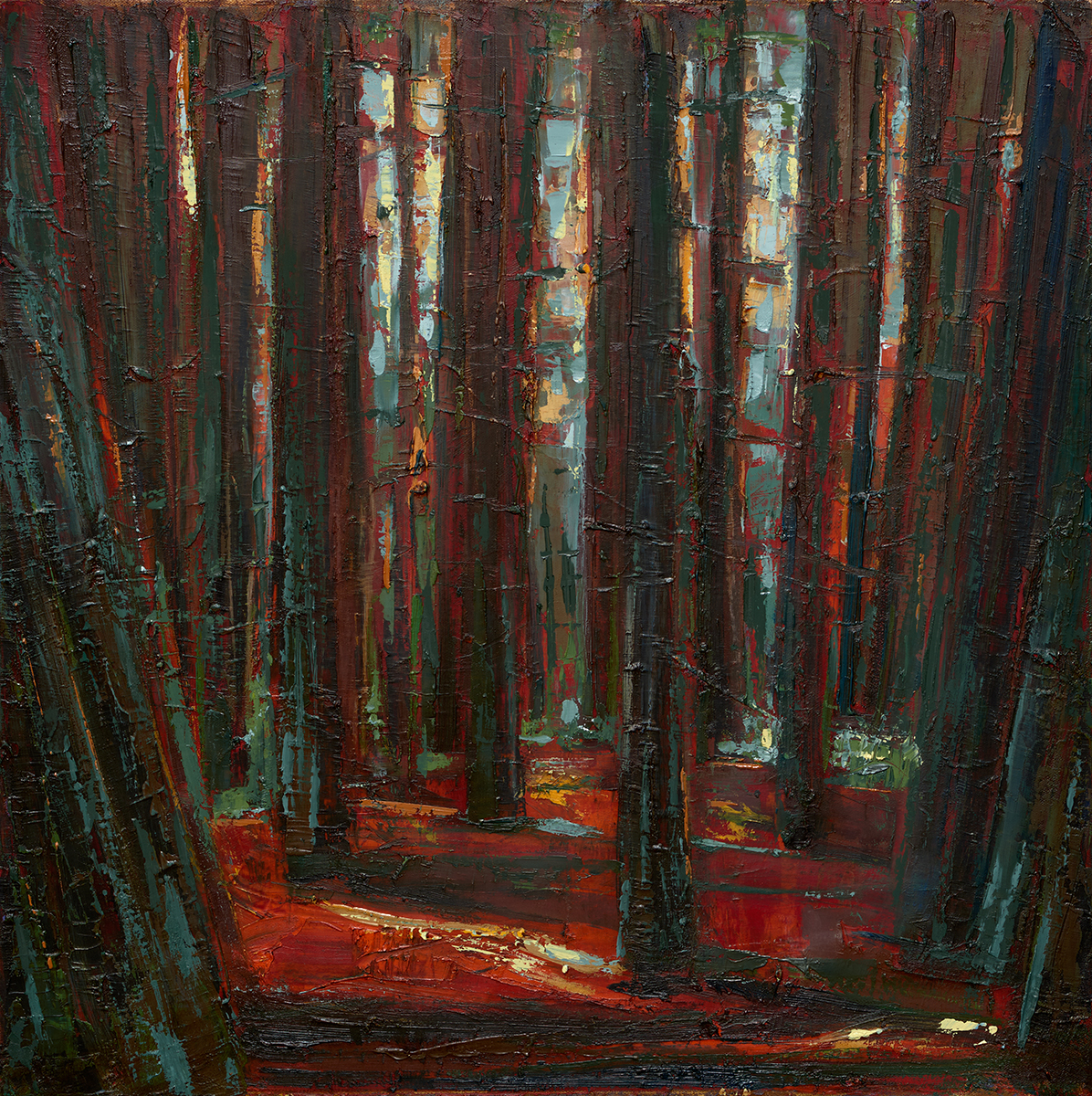 Leslie Andelin Forest redwoods 3