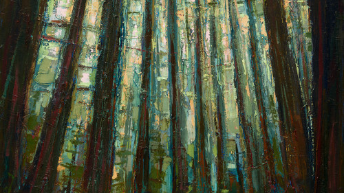 Leslie Andelin Forest redwoods 5