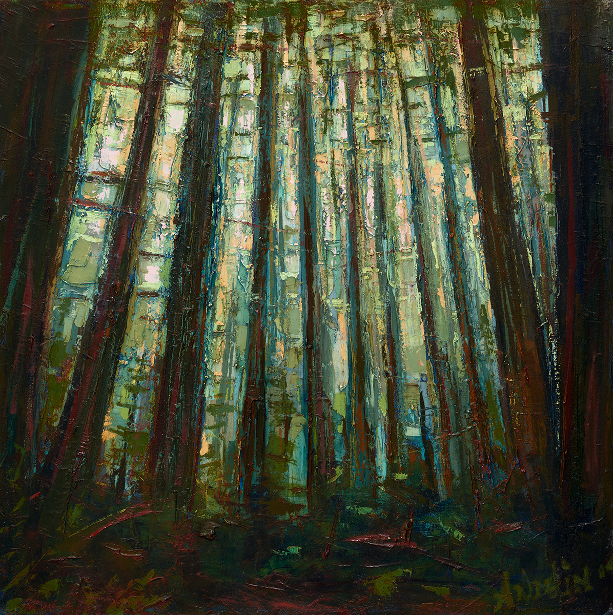 Leslie Andelin Forest redwoods 5