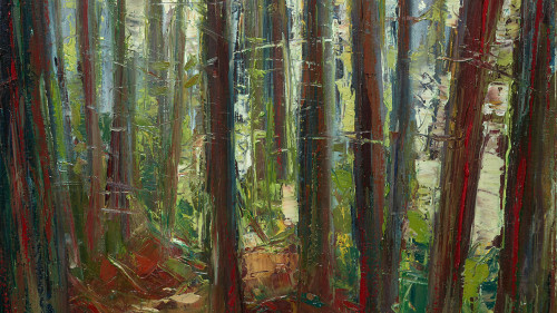 Leslie Andelin Forest redwoods 2