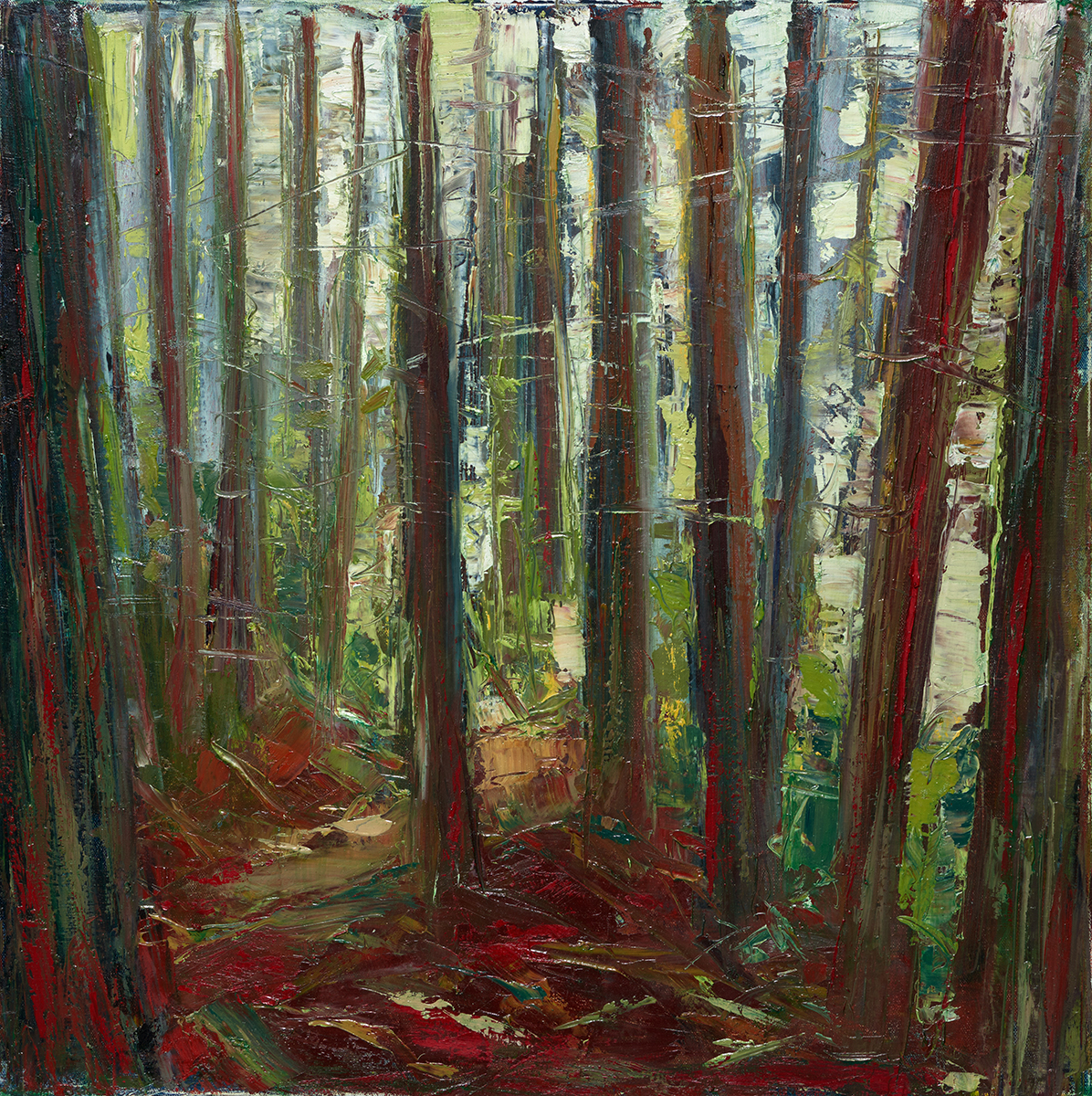 Leslie Andelin Forest redwoods 2