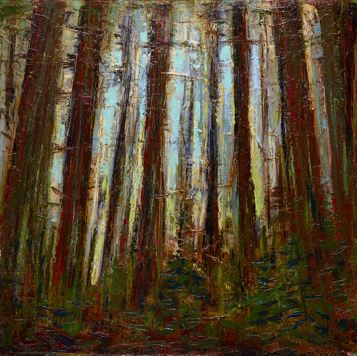 Leslie Andelin Forest redwoods 4