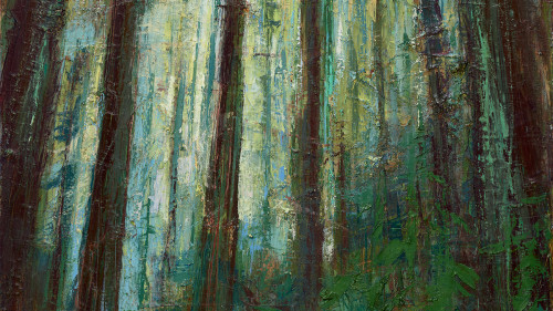Leslie Andelin Forest redwoods 1