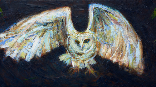 Andelin_Nightvision_2014