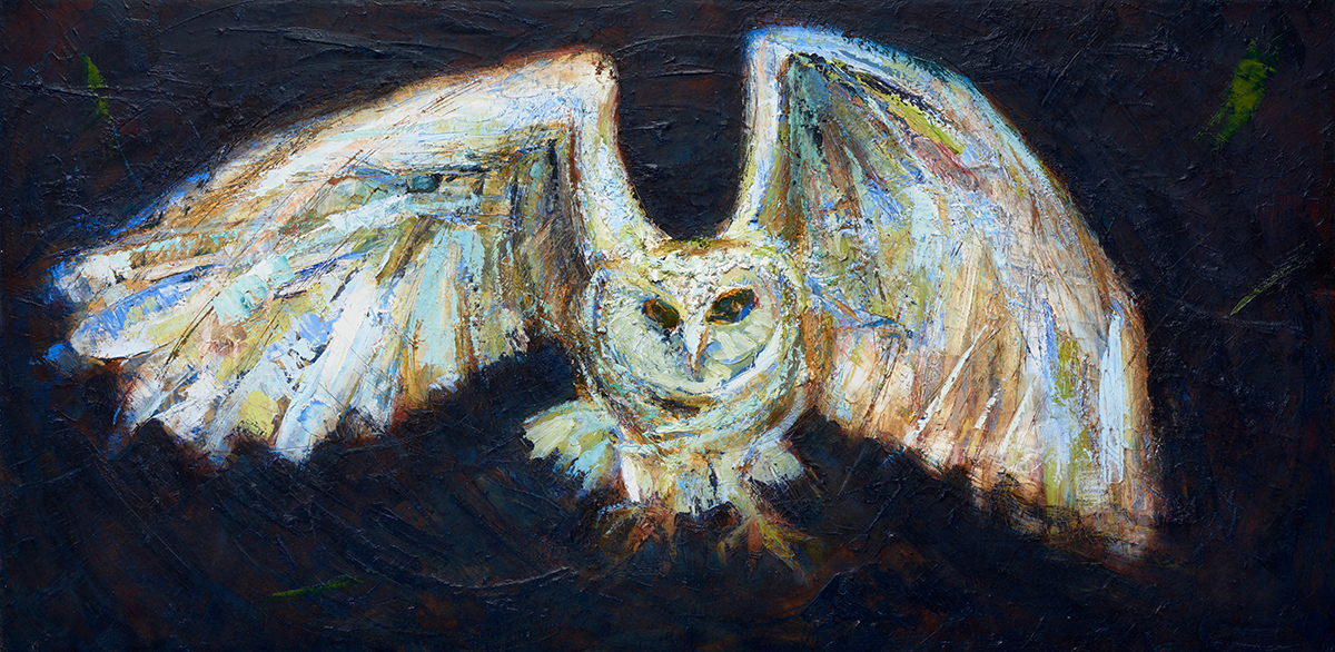 Andelin_Nightvision_2014